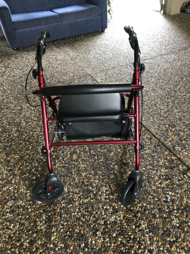 Smik Mobility Walker