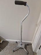 Walking Stick (four legs)
