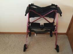 EZ Fold-N-Go Rollator
