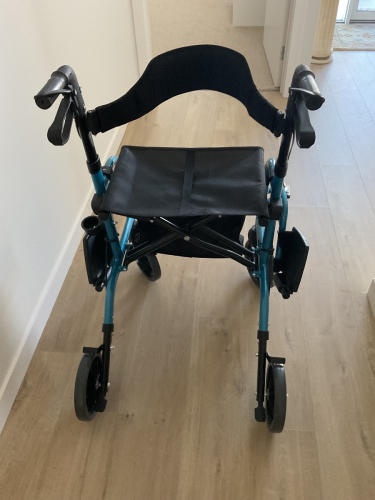 Redgum Dual-Purpose Walker