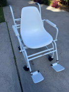 Nuweigh CHR691 Digital Chair Scale