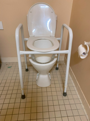 6495_over_toilet_seat_2