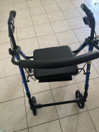Mobility Walker