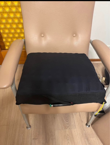 8026_roho_on_chair