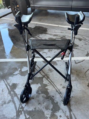 Aspire Vogue Hi-Walker