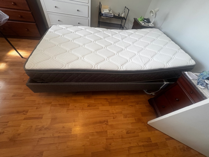 ICare King Single Bed