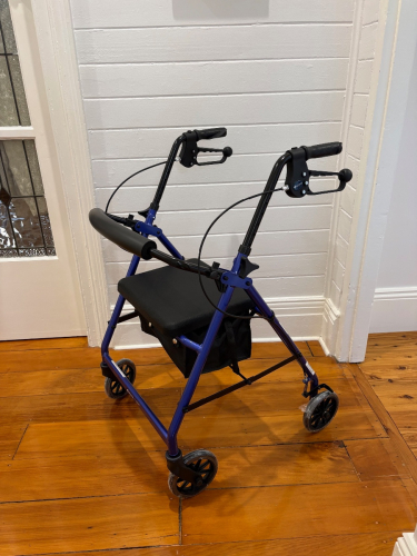Aspire Mobility Seat Walker - As-New