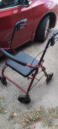 Mobility Walker
