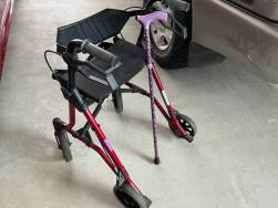 Peak Walker and Walking Stick Bundle