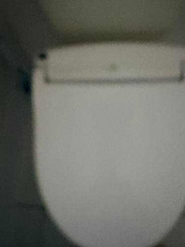 8412_bidet_2