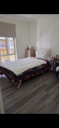 SleepHive King Single Bed