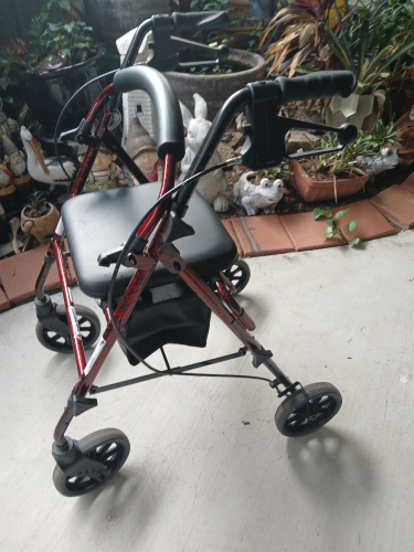 Mobility Walker
