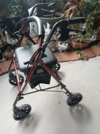 Mobility Walker