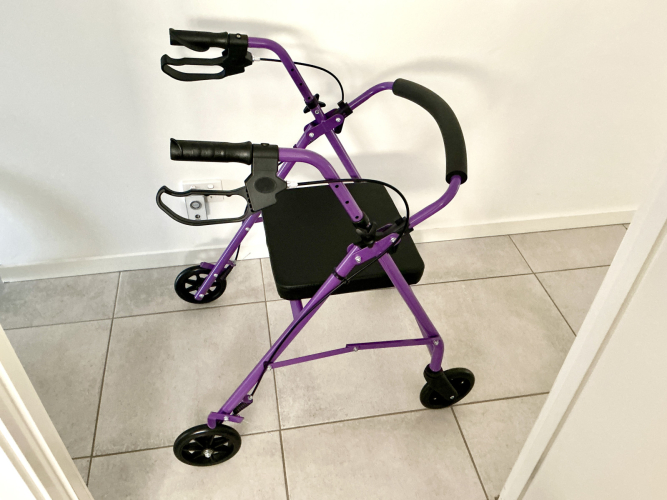 Mobility Walker