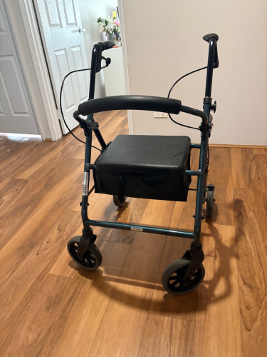 Mobility Walker