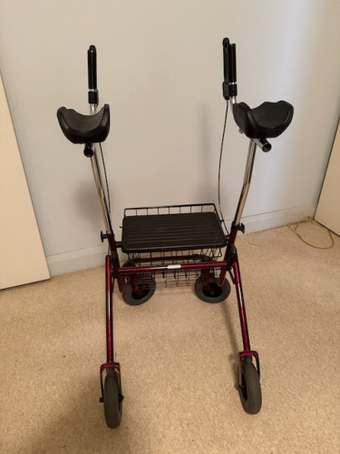 8962_upright_walker_3