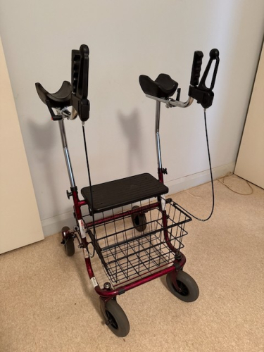 8962_upright_walker_4