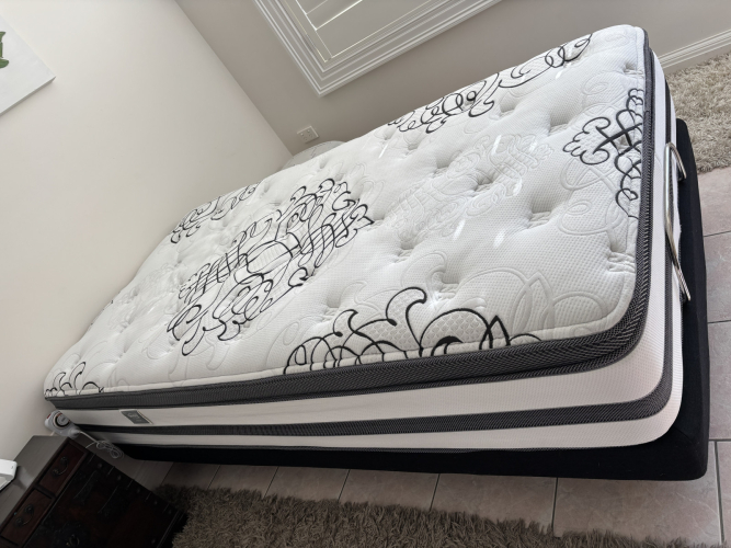 Adjustable Bed & Beautyrest Mattress