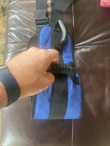 Walking Assistance Belt