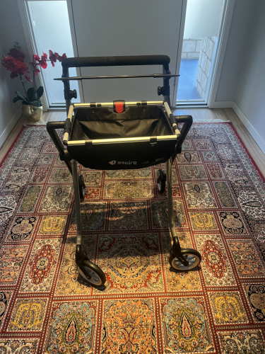 Aspire Walker with Tray