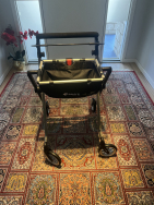 Aspire Walker with Tray