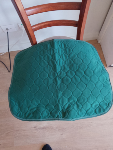 9680_chair_pad_green