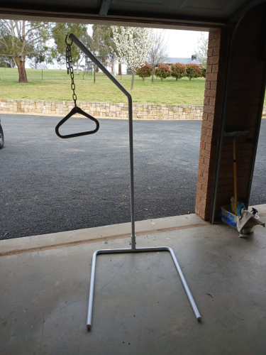 Over Bed Monkey Bar