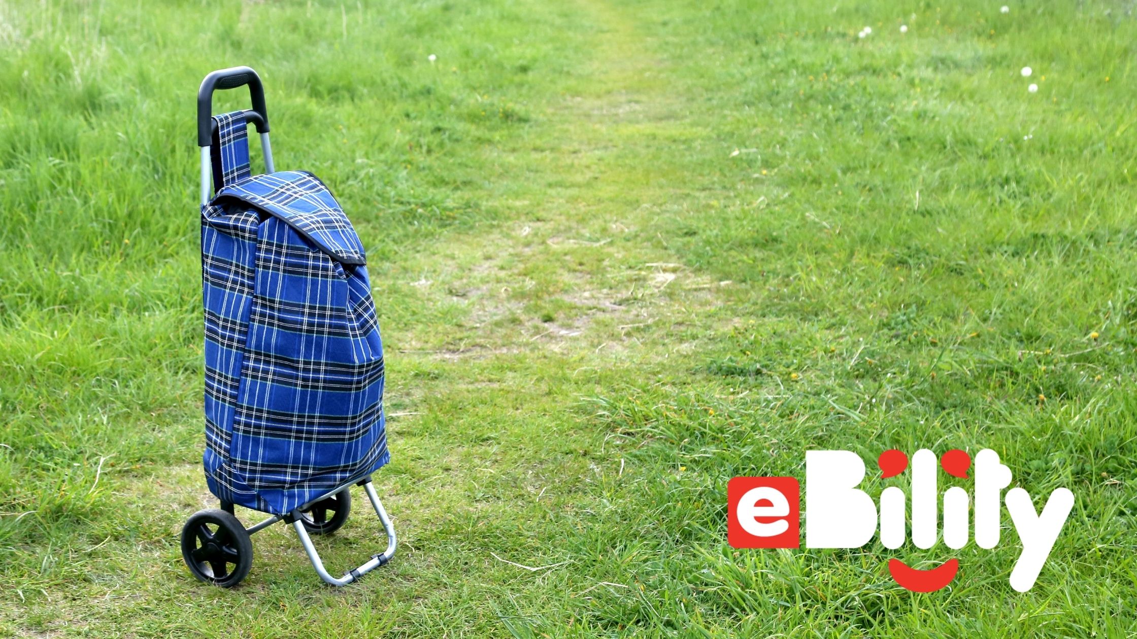 blue tartan shopping trolley bag on grass